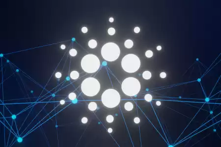 Još jedna zanimljiva inicijativa iz Cardano Foundationa