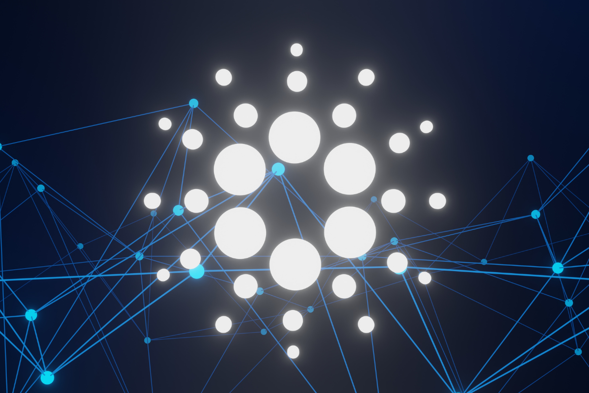 CARDANO: "We are so back!"