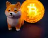 Shiba Inu i Chainlink: kako suradnja mijenja DeFi tržište