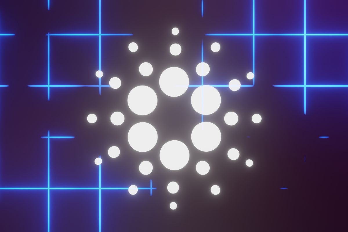 Cardano novost